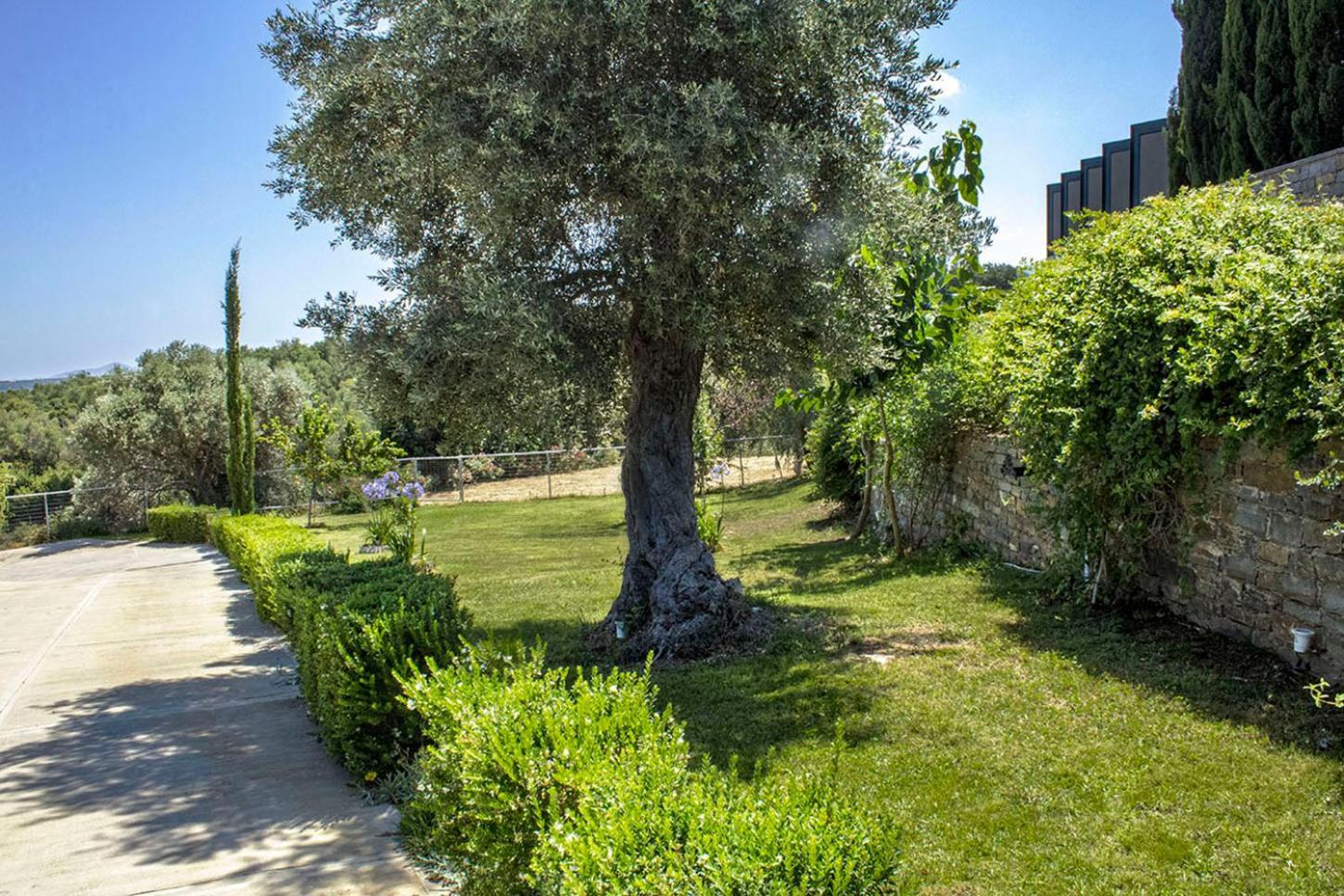 Arion Krini Villa Amnátos Екстериор снимка