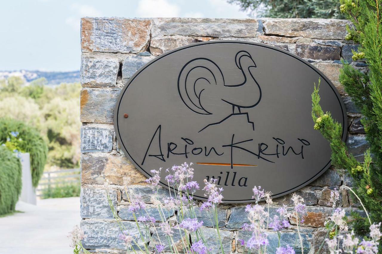 Arion Krini Villa Amnátos Екстериор снимка